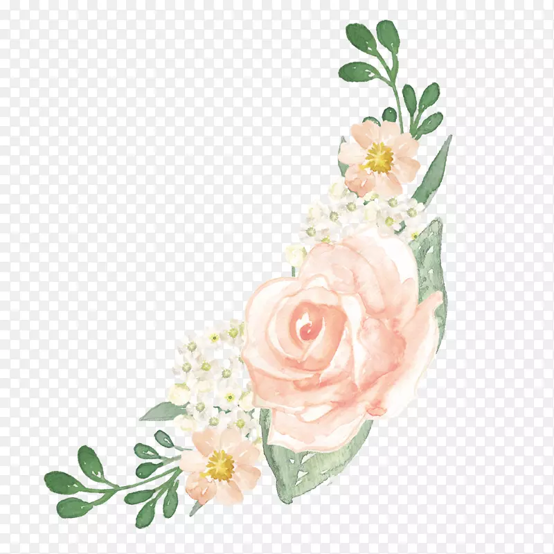 花水彩画插图花园玫瑰婚礼花