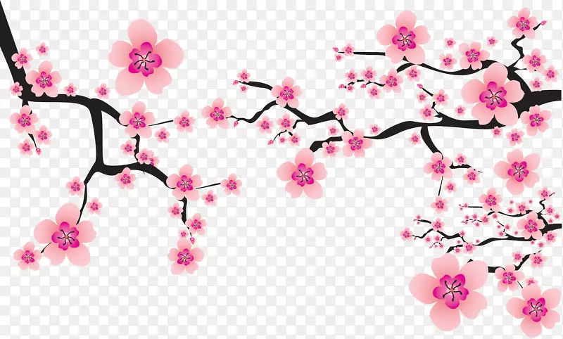 樱花图形樱桃图像-樱花