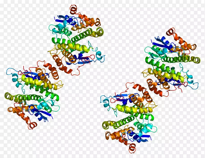 谷胱甘肽s-转移酶M4蛋白酶-Gluta