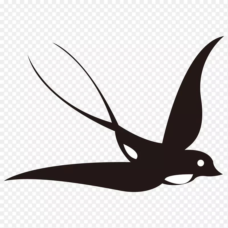 燕鸟插图图像图.鸟