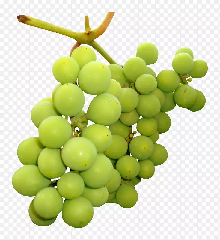 葡萄png图片水果剪辑艺术图像-葡萄