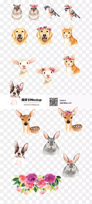 猫法国斗牛犬水彩画插图-猫