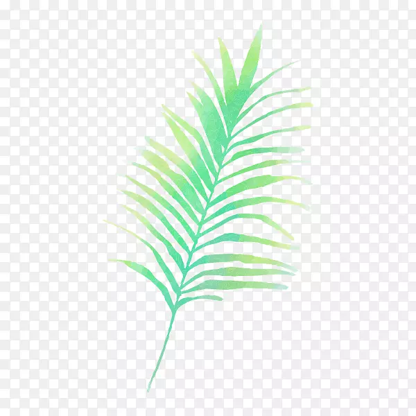 棕榈树图形剪辑艺术png图片.蕨类植物展开