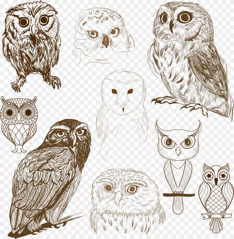 OWL图形绘制插图图像条OWL