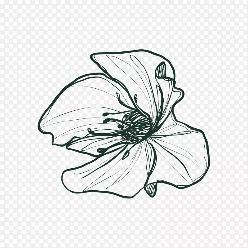 绘制png图片图像花卉图.花卉