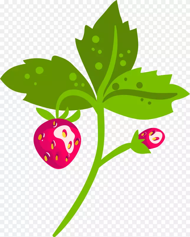 水果剪贴画草莓png图片图像-美丽的花朵