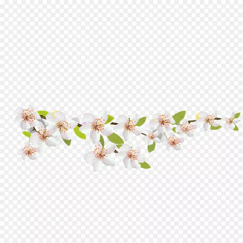 樱花图图像设计-梨花