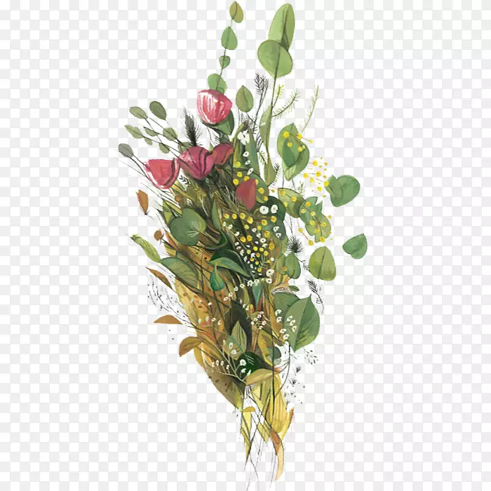 花卉设计插画png图片.花卉
