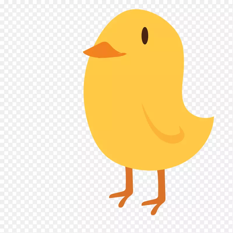 鸡鸭png图片图像插图-农场
