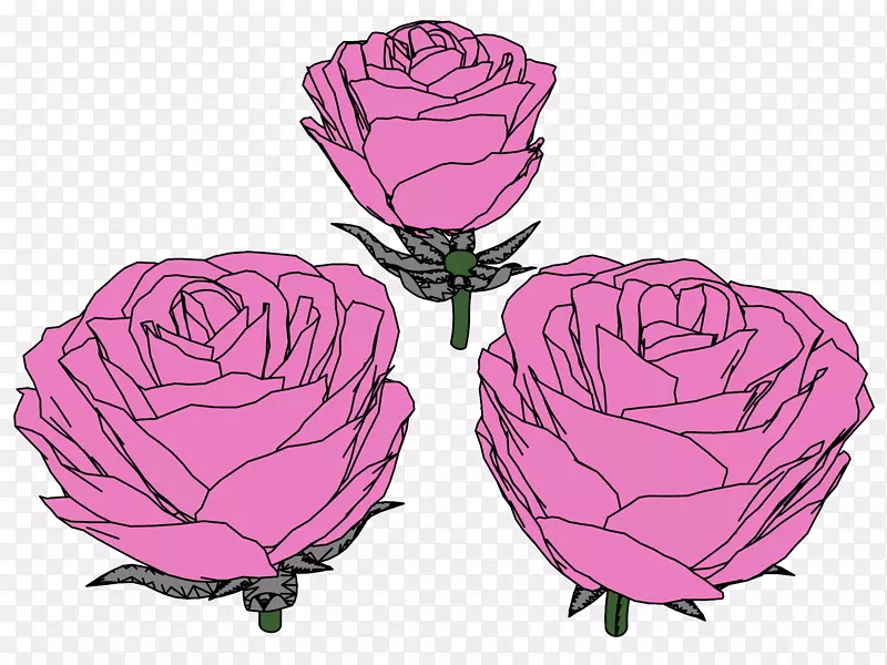 花园玫瑰，卷心菜，插图，插画，花瓣-春天开花