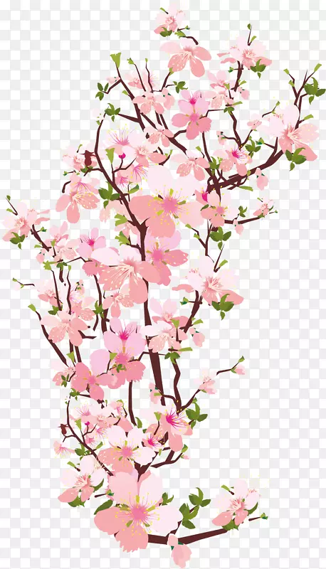 樱花插花艺术png图片-美丽的花朵