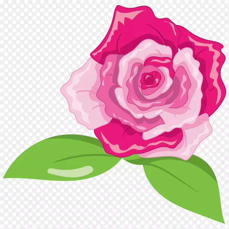 png图片粉红插画绿色白色美丽的花朵