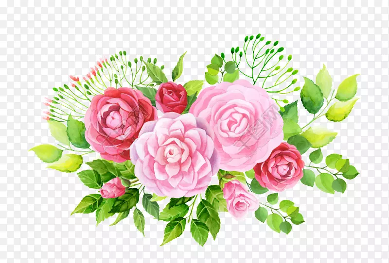 花园玫瑰图形png图片图像.花卉实心