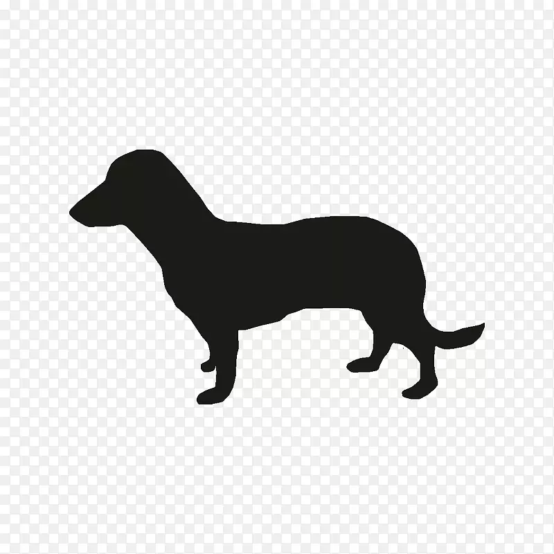 小型达克斯犬图形狗品种-小狗