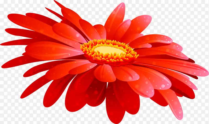 花卉设计剪贴画形象-花