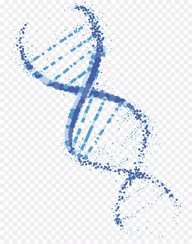 DNA载体转基因生物遗传学载体