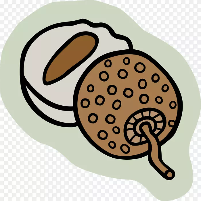 蜗牛制品剪贴画-蜗牛