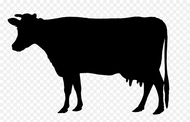 荷斯坦弗里西亚牛，动物剪影，小牛，牛剪贴画.动物剪影