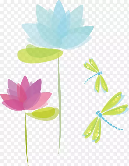 图形图像版税-免费摄影插图.蜻蜓