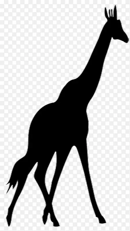 长颈鹿动物剪影剪贴画图形.长颈鹿