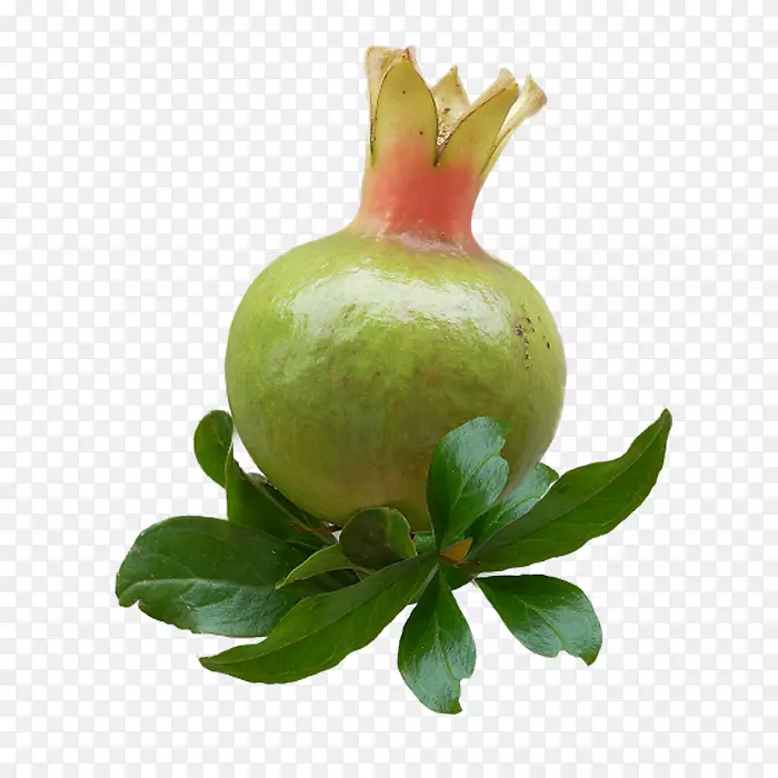 水果食品石榴便携网络图adobe Photoshop-水果