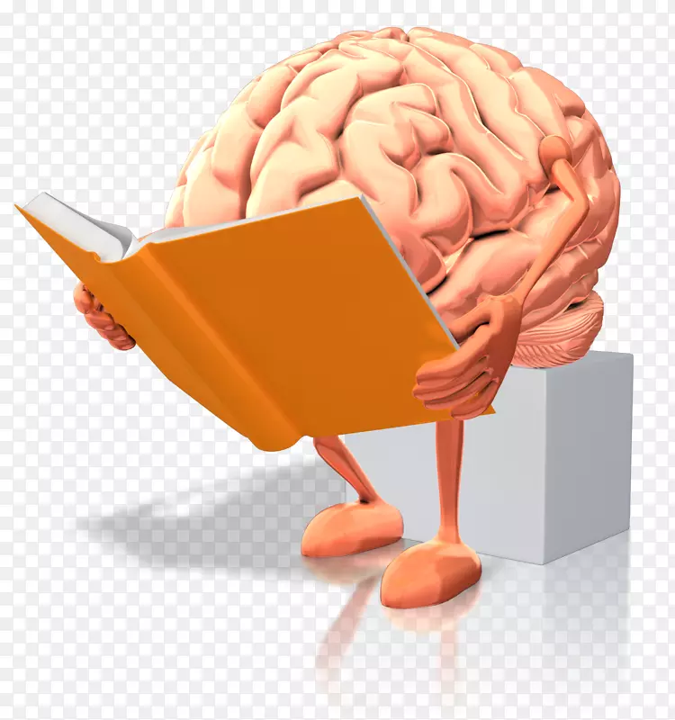 人脑阅读障碍阅读神经成像-脑