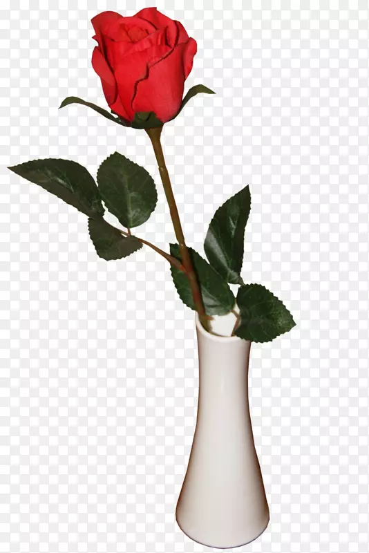 花瓶花园玫瑰沙滩玫瑰形象粉色花瓶