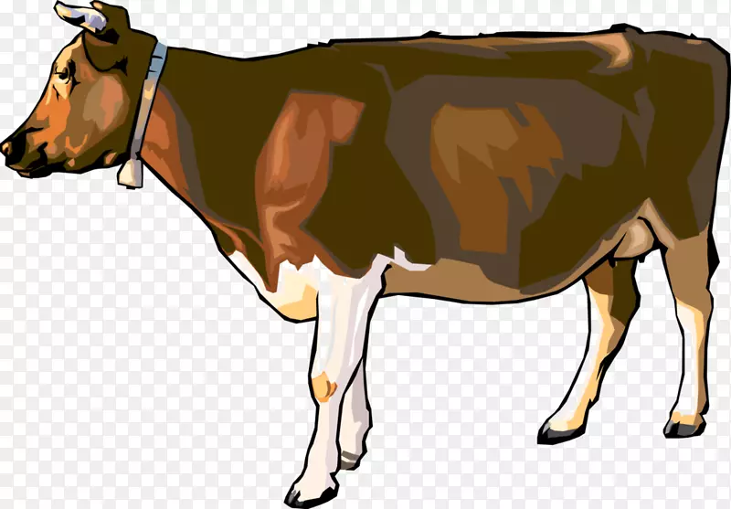 瑞士褐牛，瑞士荷斯坦牛，弗里西亚牛，乳牛，剪贴画牛犊-牛