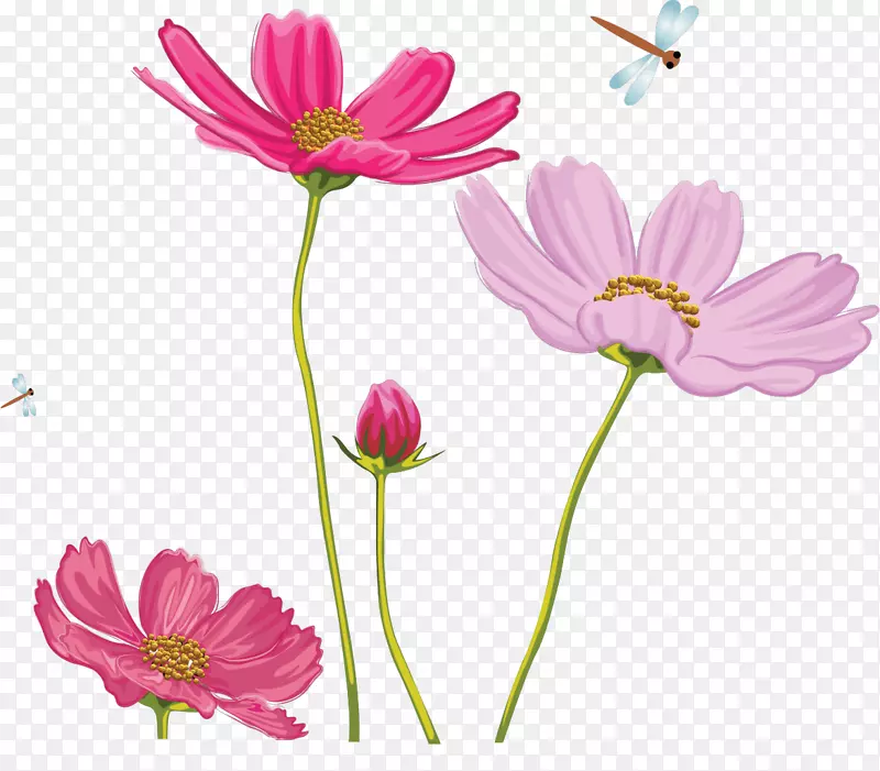 花卉图像设计摄影png图片.花卉