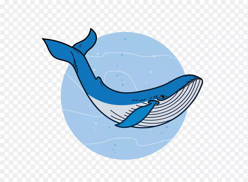 鲨鱼、海洋生物、海豚-蓝鲸濒危解决方案