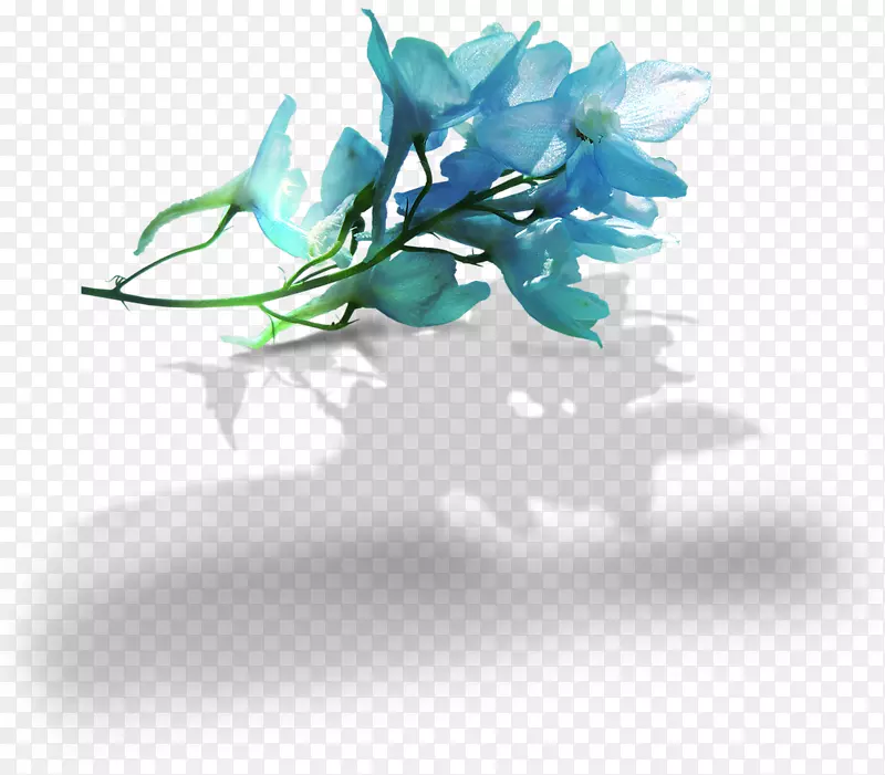 剪贴画图片png图片蓝色花卉