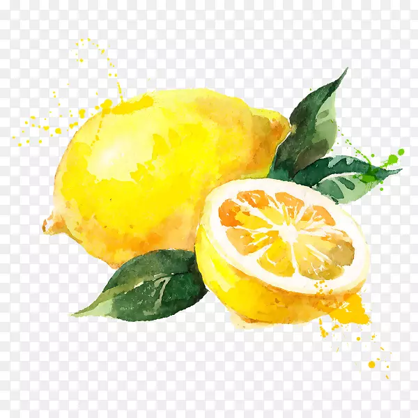 柠檬图形免版权摄影绘图.柠檬
