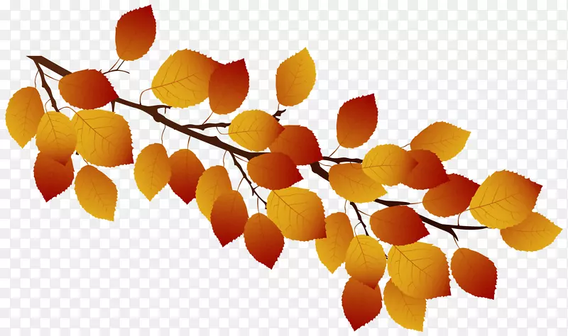图，插图，摄影，秋天.树枝符号