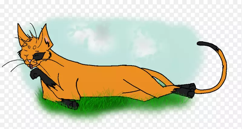 红狐猫插画艺术猫