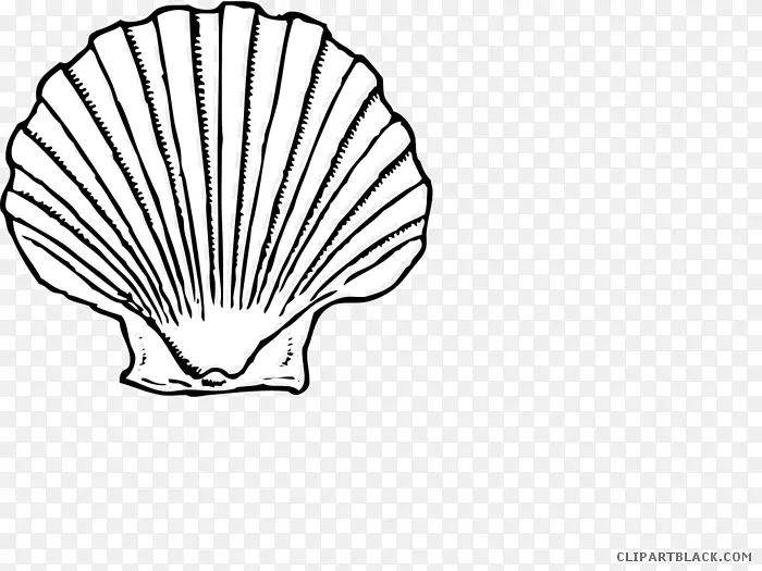 剪贴画贝壳插图图形牡蛎.贝壳