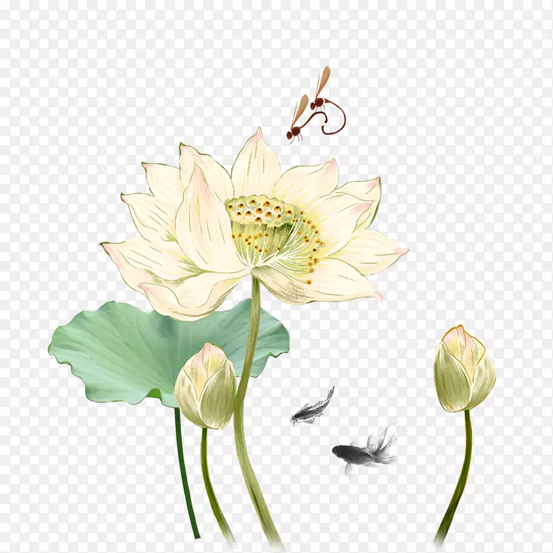 图像神圣莲花设计莲花治疗针灸图形莲花