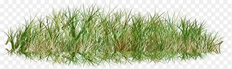 草坪剪贴画png图片图片草