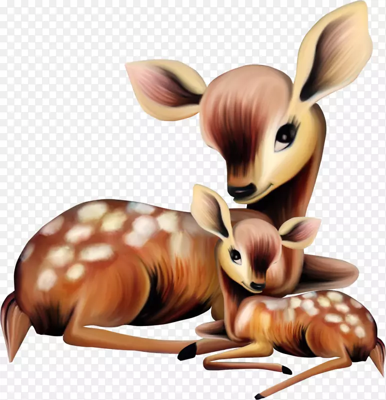 白尾鹿夹艺术母亲插图-鹿