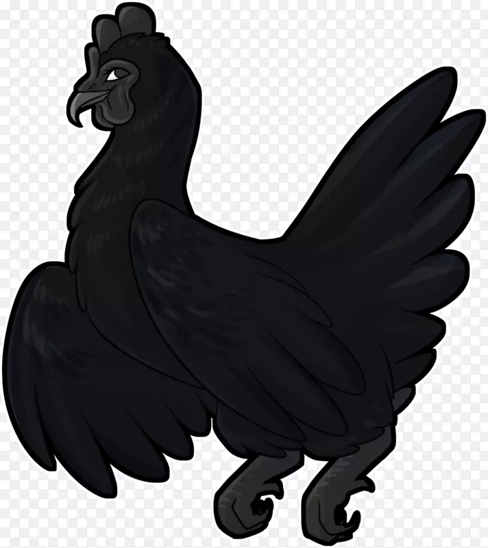 Rooster ayam Cemani图像图-ayam geprek