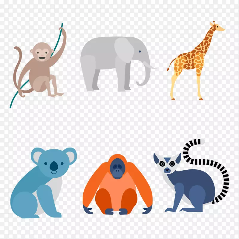 猫图形图像png图片设计.包装动物