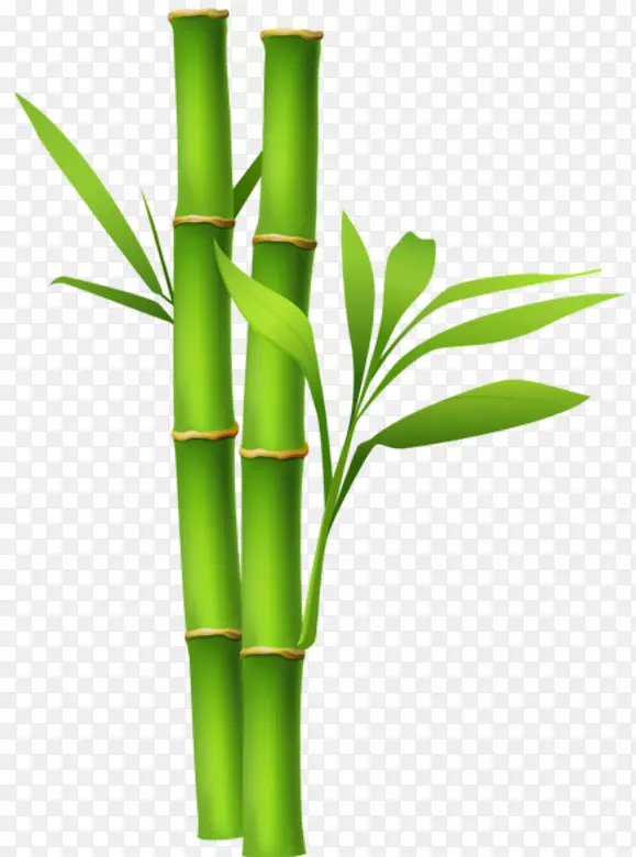 剪贴画竹子png图片图像桌面壁纸竹子