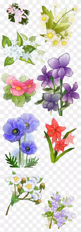 花卉设计，切花，南瓜花，植物茎，花