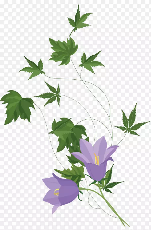 花卉文件格式png图片jpeg植物茎-美丽的花朵