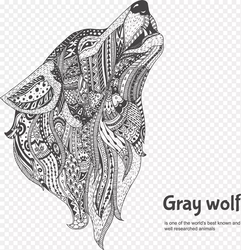 灰狼着色书绘制涂鸦图形.灰狼