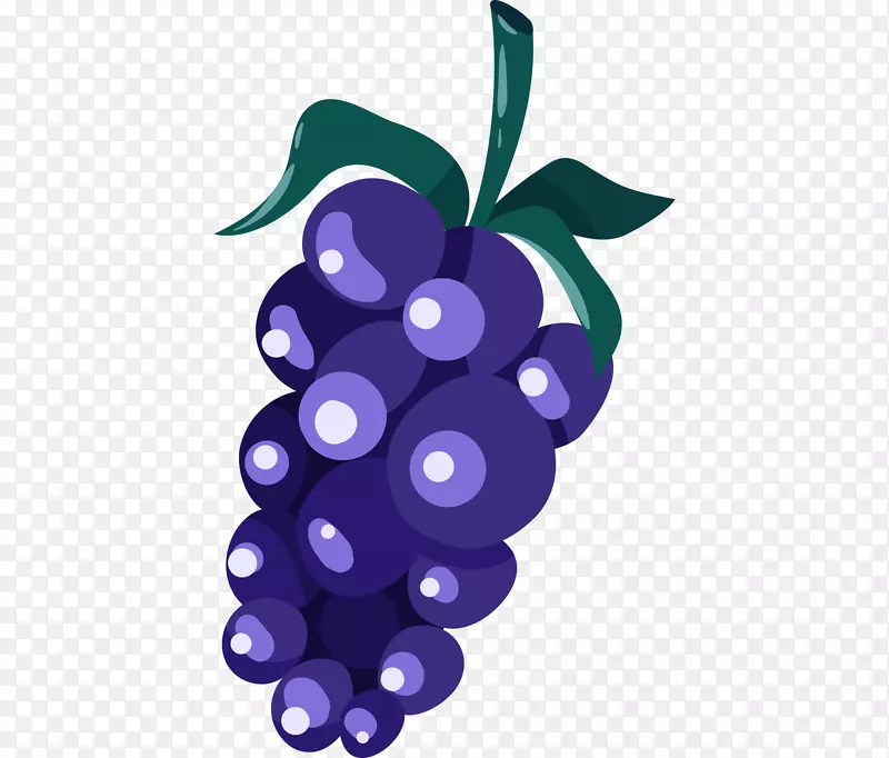 葡萄png图片插图紫色葡萄酒手机