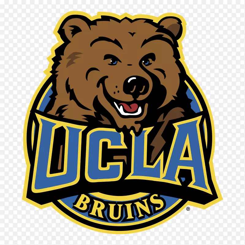 加州大学洛杉矶分校布鲁因斯足球UCLA Bruins女子篮球头目UCLA Bruins标志-加州大学洛杉矶分校射击骗局