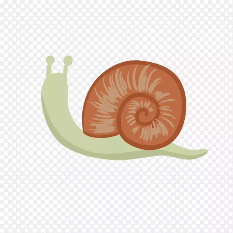 蜗牛动画设计png图片绘图.钩子