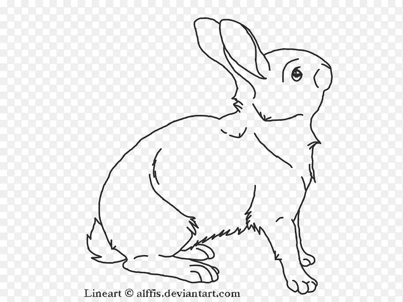 国内兔线艺术兔