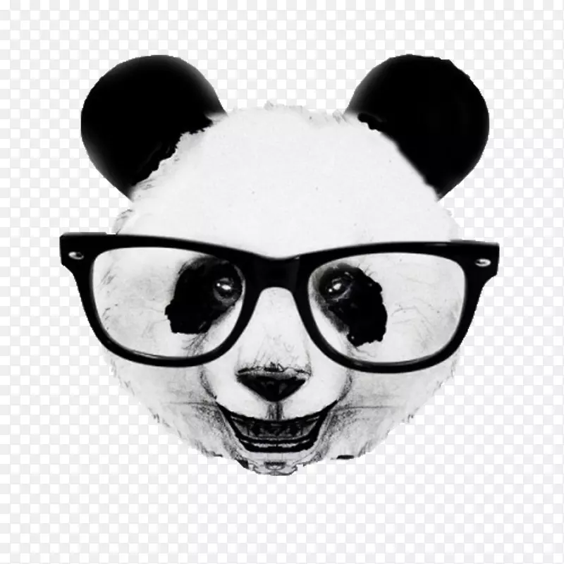 大熊猫艺术家-维罗纳