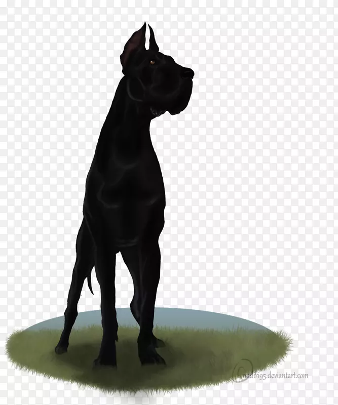 大丹麦甘蔗科索犬繁衍三星星系C7 Odin-大丹麦犬雕塑